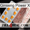 Ginseng Power X new13